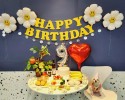 강아지 생일잔치