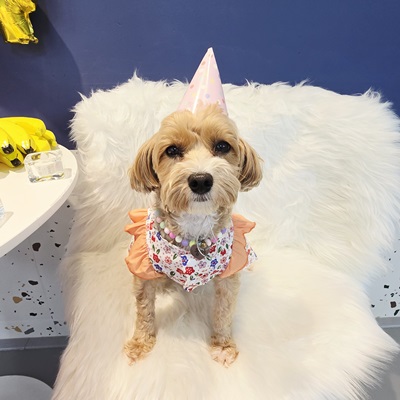 1de2831dd8551a273b092371e6efea8e_1760661