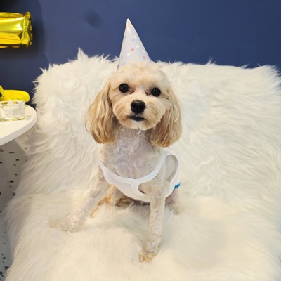 1de2831dd8551a273b092371e6efea8e_1760661