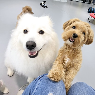 1de2831dd8551a273b092371e6efea8e_1760661680_0909.jpg 1de2831dd8551a273b092371e6efea8e_1760661