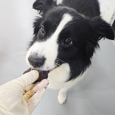 1de2831dd8551a273b092371e6efea8e_1760661745_9832.jpg 1de2831dd8551a273b092371e6efea8e_1760661