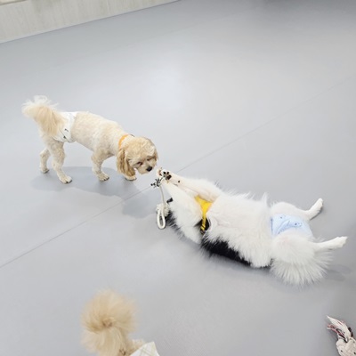 1de2831dd8551a273b092371e6efea8e_1760661811_8124.jpg 1de2831dd8551a273b092371e6efea8e_1760661