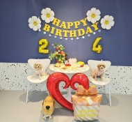 부천강아지유치원 뭉이, 또또 생일파티