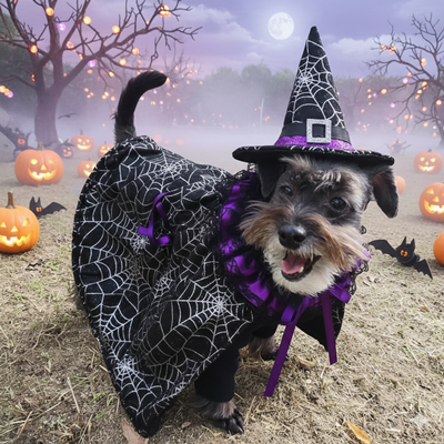 df248d4c9829ff3440ce10840346d56f_1762143