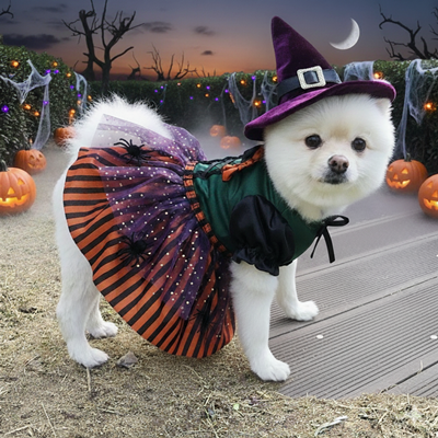 df248d4c9829ff3440ce10840346d56f_1762143